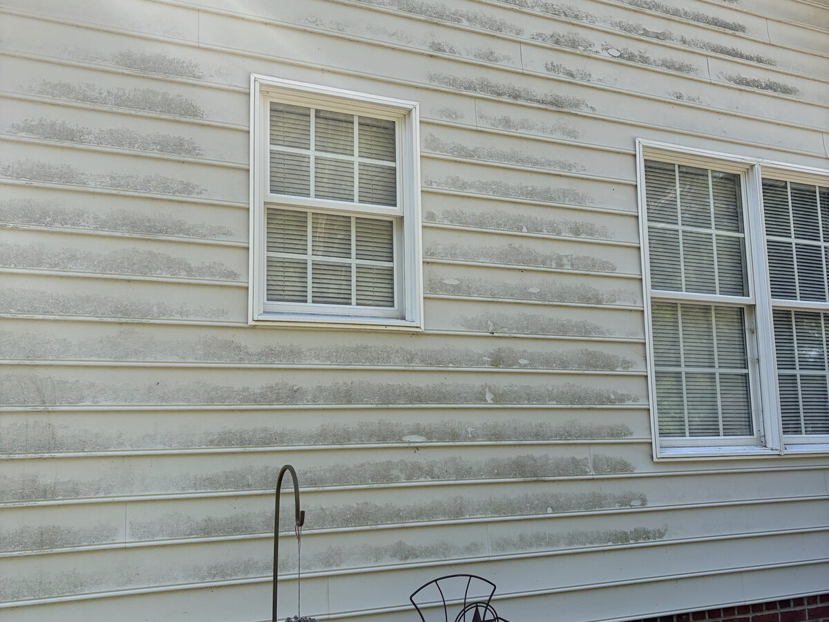 Home before soft washing, with mold and algae on the siding