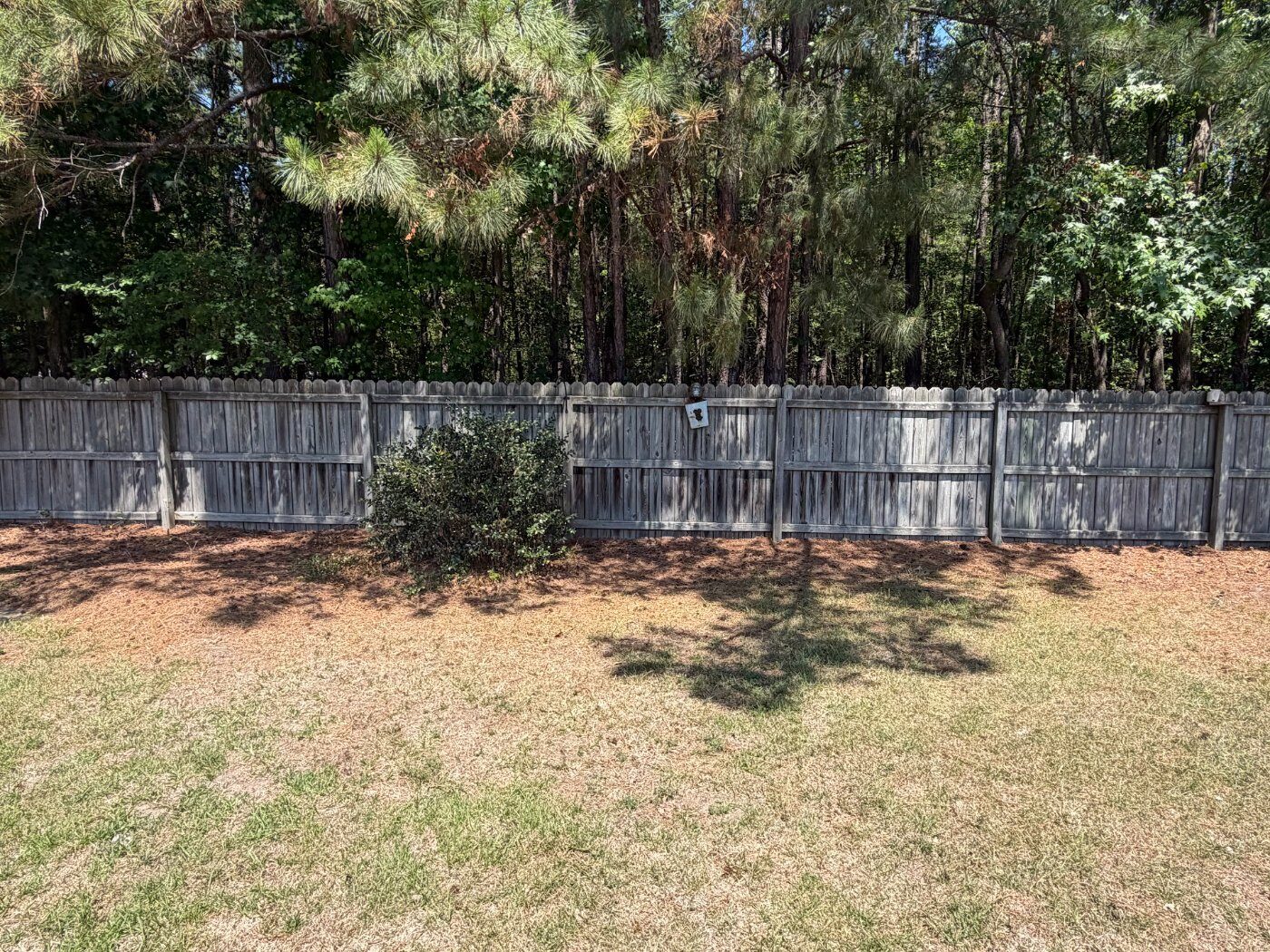 Before pressure washing